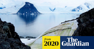 OpenGraph image for theguardian.com/world/2020/may/20/climate-change-turning-parts-antarctica-green-say-scientists-algae?CMP=Share_iOSApp_Other