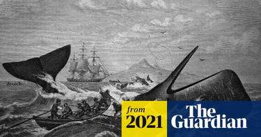 OpenGraph image for theguardian.com/world/2021/jan/15/shantytok-how-a-19th-century-seafaring-epic-inspired-a-covid-generation