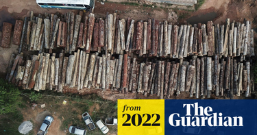 OpenGraph image for theguardian.com/world/2022/may/07/record-after-record-brazils-amazon-deforestation-hits-april-high-nearly-double-previous-peak