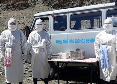 OpenGraph image for thesun.co.uk/news/12003535/black-death-mongolia-brothers-plague-marmot/