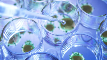 OpenGraph image for thetimes.co.uk/article/new-covid-variant-may-be-more-transmissable-than-delta-strain-whcw2l30w