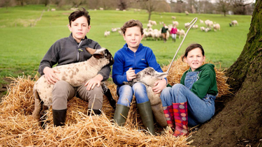 OpenGraph image for thetimes.co.uk/article/no-deal-brexit-threatens-cull-of-10m-lambs-jp7c87qtm