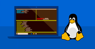 OpenGraph image for theverge.com/2020/5/19/21263377/microsoft-windows-10-linux-gui-apps-gpu-acceleration-wsl-features