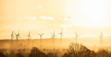 OpenGraph image for theverge.com/2021/1/25/22248992/renewable-energy-beats-fossil-fuels-europe-electricity?utm_campaign=theverge&utm_content=chorus&utm_medium=social&utm_source=twitter