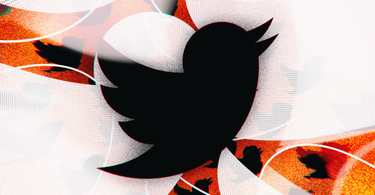OpenGraph image for theverge.com/2021/1/26/22250203/twitter-academic-research-public-tweet-archive-free-access?scrolla=5eb6d68b7fedc32c19ef33b4
