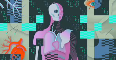 OpenGraph image for theverge.com/2021/12/8/22822202/health-data-leaks-hacks