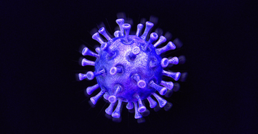 OpenGraph image for theverge.com/interface/2020/4/10/21215267/covid-19-contact-tracing-apps-bluetooth-coronavirus-flaws-public-health