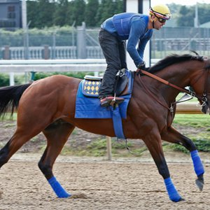 OpenGraph image for thoroughbredracing.com/articles/what-would-be-fair-odds-american-pharoah