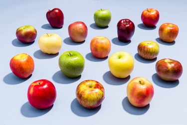 OpenGraph image for thrillist.com/eat/nation/best-apples-for-baking-eating/food-and-drink