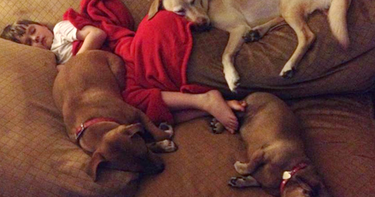 OpenGraph image for today.com/health/xena-warrior-puppy-rescued-abuse-helps-8-year-old-boy-6C9648595