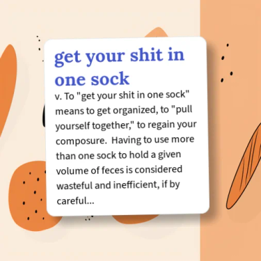 OpenGraph image for urbandictionary.com/define.php?term=get%20your%20shit%20in%20one%20sock