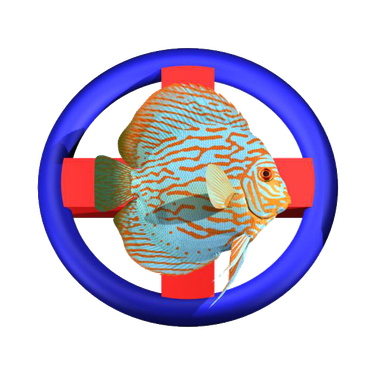 OpenGraph image for vetofish.com/mentions-legales
