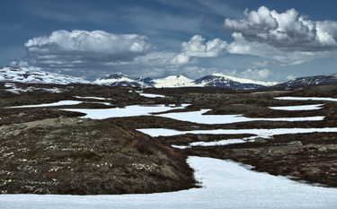 OpenGraph image for vice.com/amp/en_us/article/qv79b5/unprecedented-wildfires-are-burning-across-the-arctic-circle?__twitter_impression=true