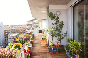 OpenGraph image for volts.wtf/p/the-5-coolest-trends-in-urbanism