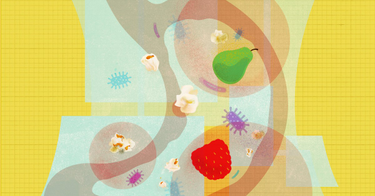 OpenGraph image for vox.com/2019/3/20/18214505/fiber-diet-weight-loss