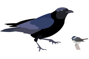 OpenGraph image for washingtonpost.com/business/2021/11/28/bird-feeder-pecking-order/