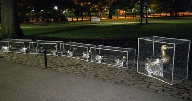 OpenGraph image for wgbh.org/news/local-news/2019/08/02/local-artist-cages-make-way-for-ducklings-statue-to-protest-child-detention-centers