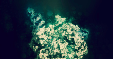 OpenGraph image for wired.com/2017/06/crispr-mutations/?utm_content=bufferc38dd&utm_medium=social&utm_source=twitter.com&utm_campaign=buffer