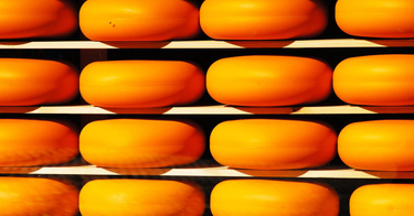 OpenGraph image for wired.com/story/cheese-actually-isnt-bad-for-you/?utm_source=twitter&utm_medium=social&utm_campaign=onsite-share&utm_brand=wired&utm_social-type=earned