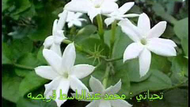 OpenGraph image for youtube.com/playlist?list=PLut1-SF0UJhtqbTs-wNoEMoU2RARLit8D