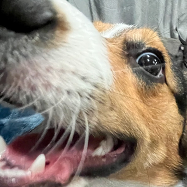 OpenGraph image for youtube.com/user/ProjectOneLife