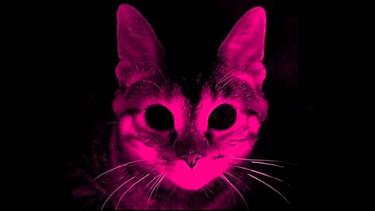 OpenGraph image for youtube.com/watch?v=28m0ZFARgSk