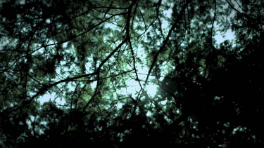 OpenGraph image for youtube.com/watch?v=CrcY9I-BbjM