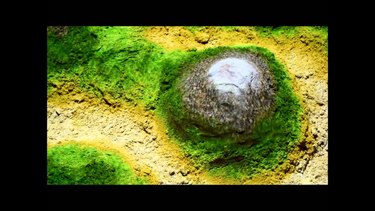 OpenGraph image for youtube.com/watch?v=E9aL3HjZbcw