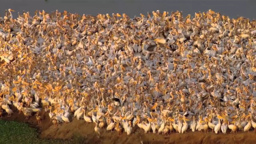 OpenGraph image for youtube.com/watch?v=I4KCg7tTus4