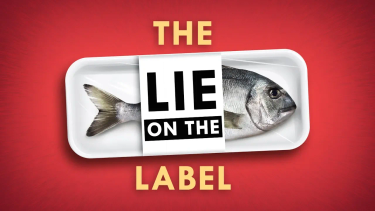 OpenGraph image for youtube.com/watch?v=JI8zSH0j1Pc