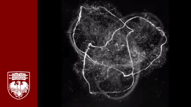 OpenGraph image for youtube.com/watch?v=Ja886GtHlcE