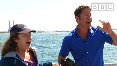 OpenGraph image for youtube.com/watch?v=T2Xsfb4cT9Y