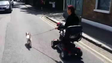 OpenGraph image for youtube.com/watch?v=Z4GVKH8PGCY