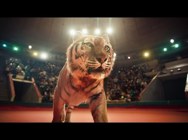 OpenGraph image for youtube.com/watch?v=ktiONWfSL48