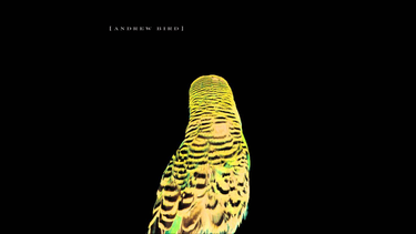 OpenGraph image for youtube.com/watch?v=llwmvABzbg4