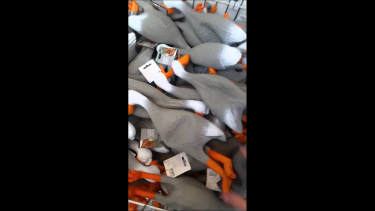 OpenGraph image for youtube.com/watch?v=nHc288IPFzk