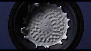 OpenGraph image for youtube.com/watch?v=sRbnAxrS3EM