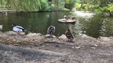 OpenGraph image for youtube.com/watch?v=t8bBs3S9yd4