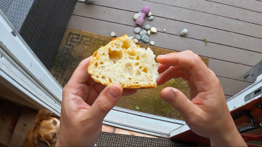 OpenGraph image for youtube.com/watch?v=uWbl3Sr2y1Y