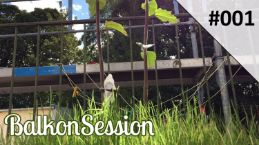 OpenGraph image for youtube.com/watch?v=whGyIz44_zw