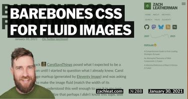 Barebones CSS for Fluid Images