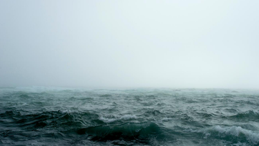 OpenGraph image for zeit.de/kultur/2018-11/climate-change-conference-guilt-recognition-english