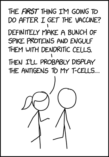 OpenGraph image for xkcd.com/2404/