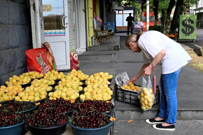 Preview image for: Armenian Apricots: Geopolitical Battleground