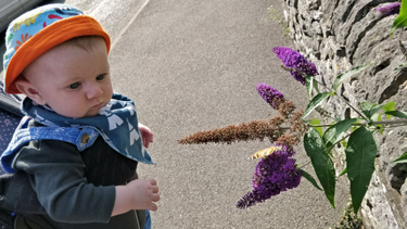 OpenGraph image for yawnofthedad.blog/sensitivity/