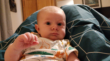 OpenGraph image for yawnofthedad.blog/the-dark-days/