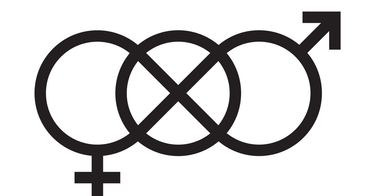 OpenGraph image for yle.fi/uutiset/osasto/news/finnish_ngo_debuts_new_symbol_for_gender-neutral_bathrooms/9696361