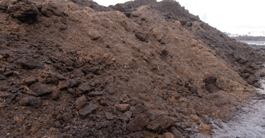 OpenGraph image for yle.fi/uutiset/osasto/news/ministry_unveils_plan_to_phase_out_peat_burning_in_finland/11864714