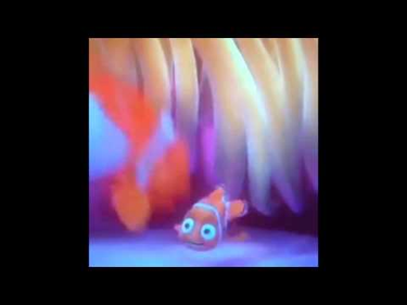 OpenGraph image for youtu.be/XuUjl20EHHk